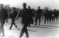1995 рік