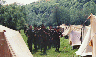 1995 рік