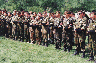 1996 рік