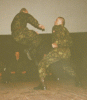 1996 рік
